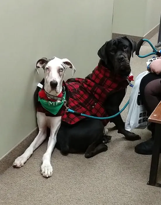 VCA Winslow Animal Hospital Picture 3