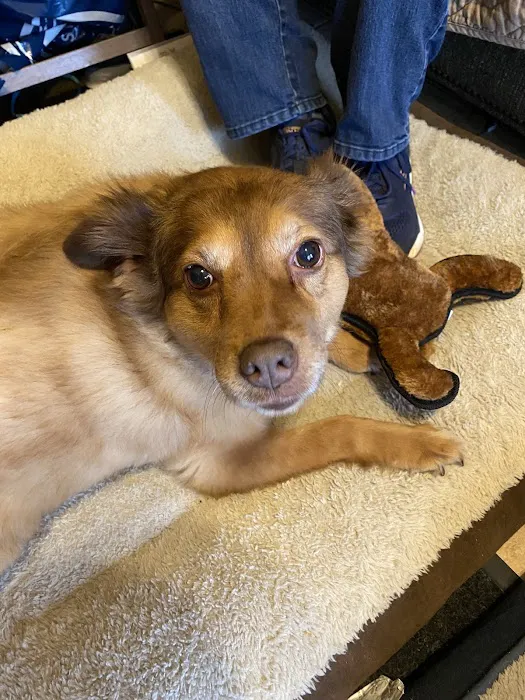 VCA Winslow Animal Hospital Picture 5