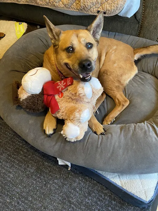 VCA Winslow Animal Hospital Picture 9