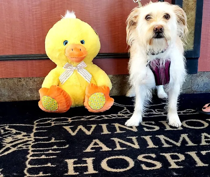 VCA Winslow Animal Hospital Picture 10