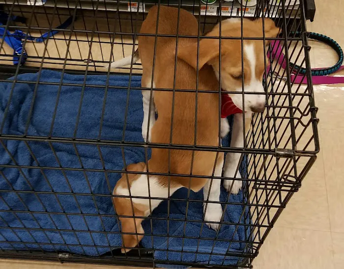 Petco Picture 1