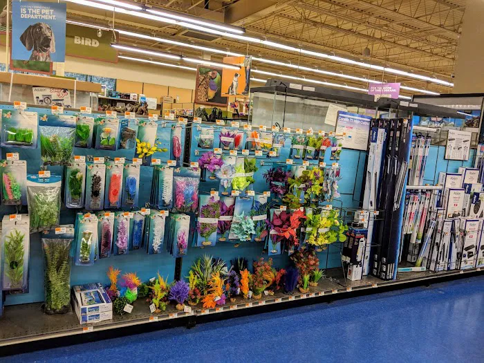 Petco Picture 6