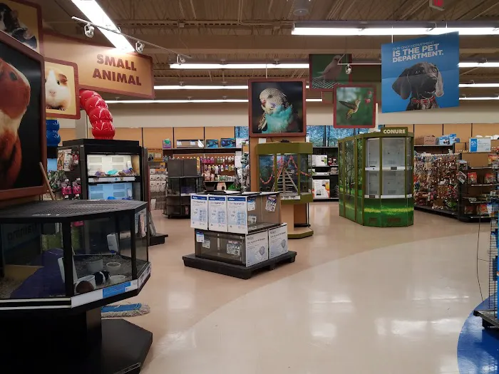 Petco Picture 8