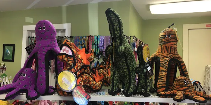 Winky's Pet Boutique Picture 10