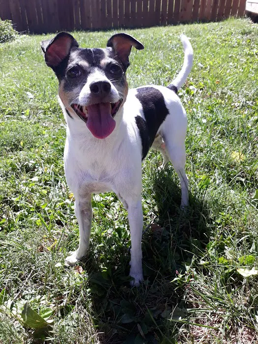 Concord Pike Veterinary Hospital: Xanthopoulos Cindy VMD Picture 1