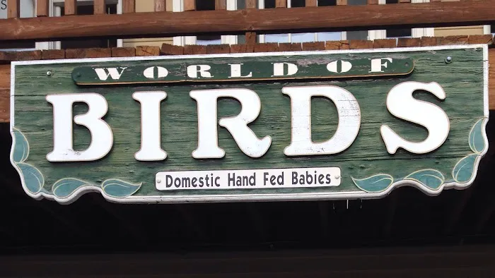 World of Birds Picture 3