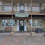 World of Birds