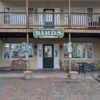 World of Birds ico