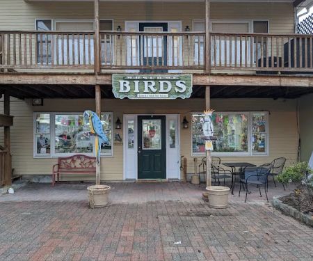 World of Birds