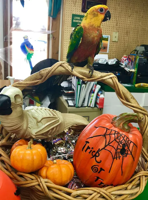 World of Birds Picture 4
