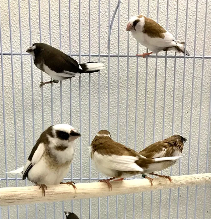 World of Birds Picture 5