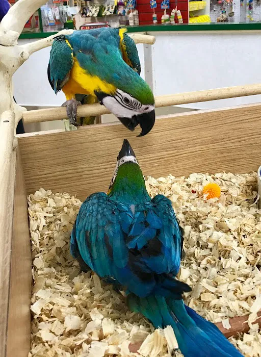 World of Birds Picture 10