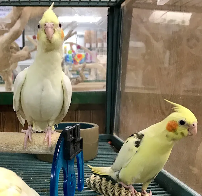 World of Birds Picture 7