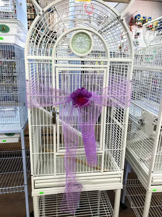 World of Birds Picture 8