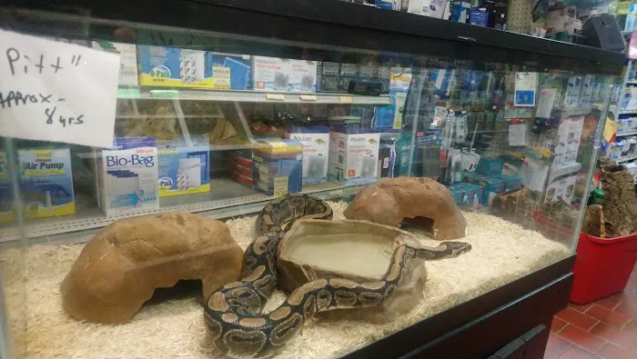 Adam's Pet Safari Picture 10