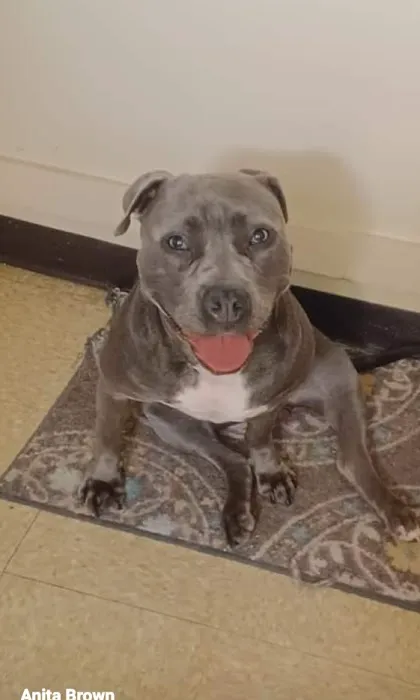 Banfield Pet Hospital Picture 10
