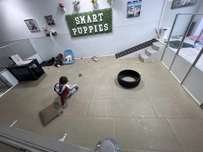 Smart Puppies For Sale, Inc. Picture 3