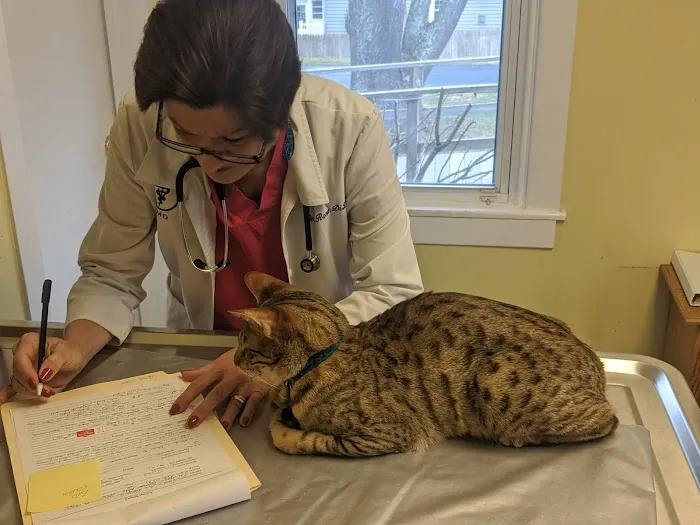 Animal Wellness Center Picture 1