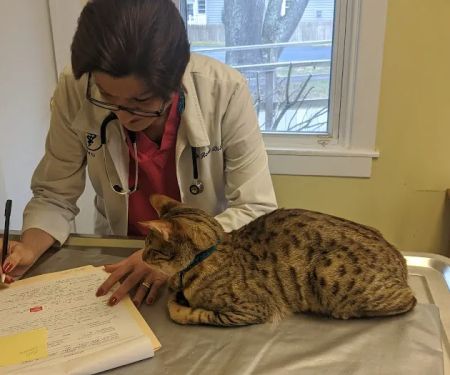 Animal Wellness Center