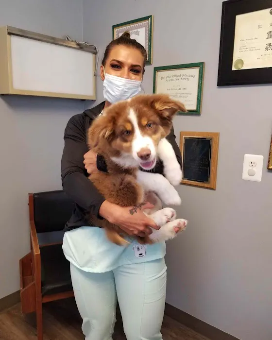 Animal Wellness Center Picture 6