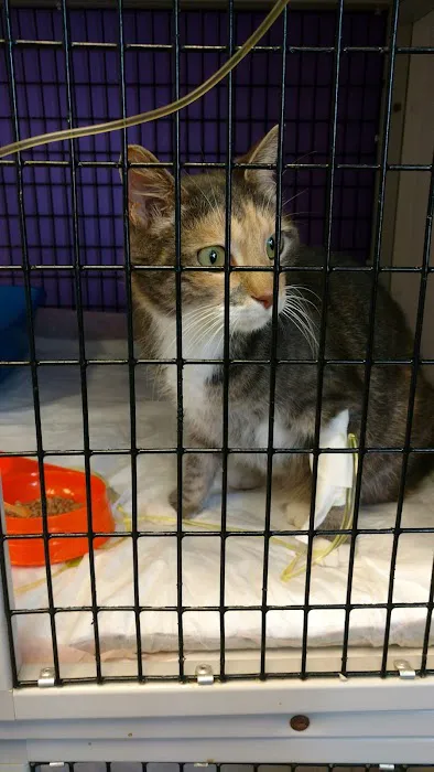 Animal Wellness Center Picture 8