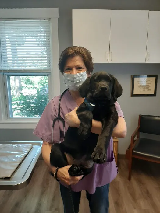 Animal Wellness Center Picture 9