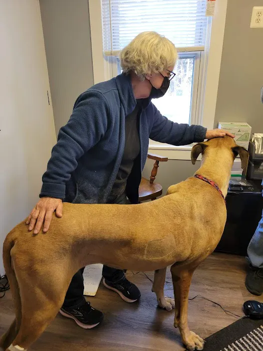 Animal Wellness Center Picture 5