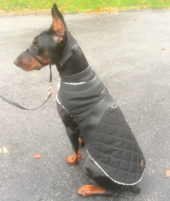 Beaut Outerwear LLC Picture 3