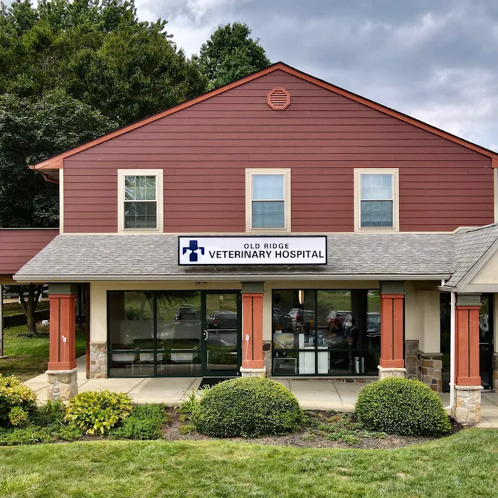 Old Ridge Veterinary Hospital Picture 3
