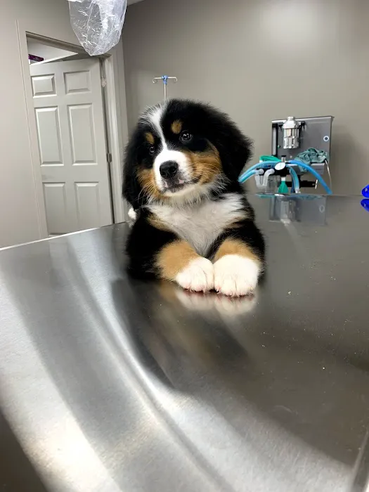 Old Ridge Veterinary Hospital Picture 1