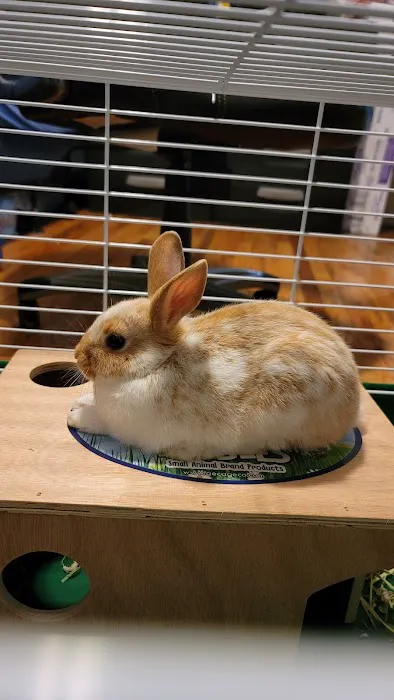 Aardvark Pet Supplies Inc. Picture 2