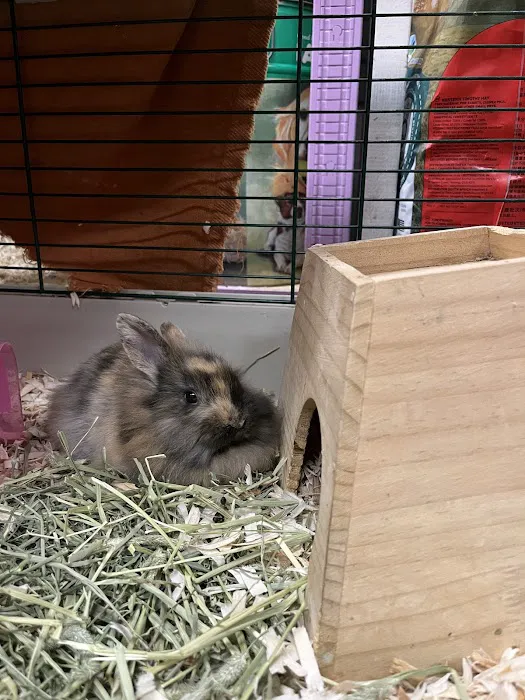 Aardvark Pet Supplies Inc. Picture 4