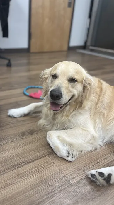 First State Urgent Vet Picture 4