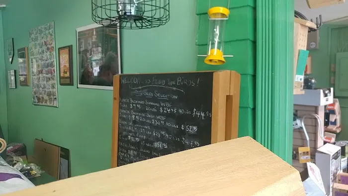 Feed the Birds! Picture 1