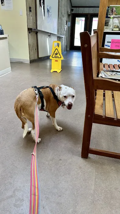 Glen Mills Veterinary Hospital Picture 8