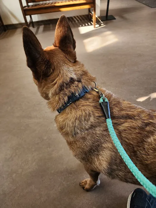 Glen Mills Veterinary Hospital Picture 9