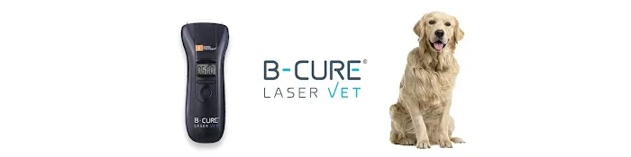 B-Cure Laser Vet Picture 1