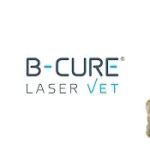 B-Cure Laser Vet