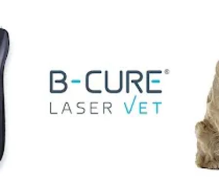B-Cure Laser Vet