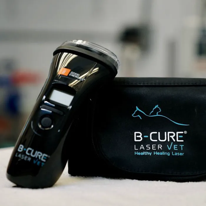 B-Cure Laser Vet Picture 8