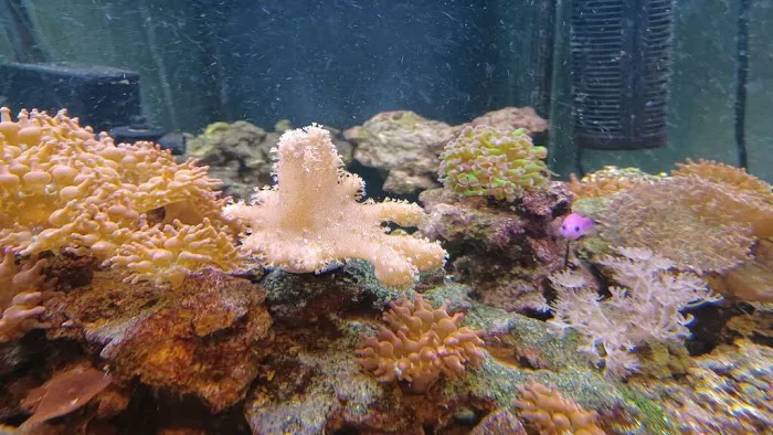 Zoo Pet Center Picture 1