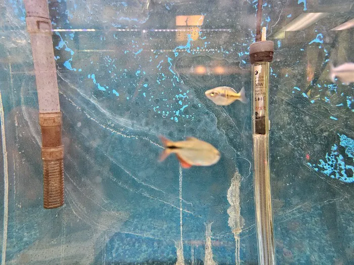 Zoo Pet Center Picture 3
