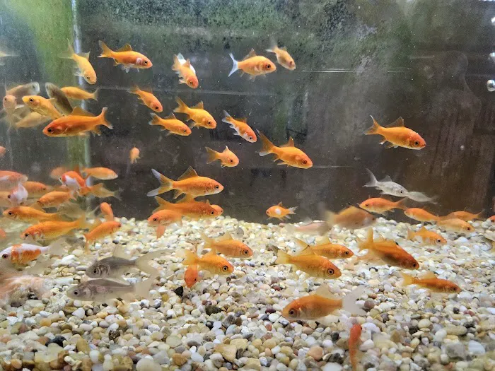 Zoo Pet Center Picture 5