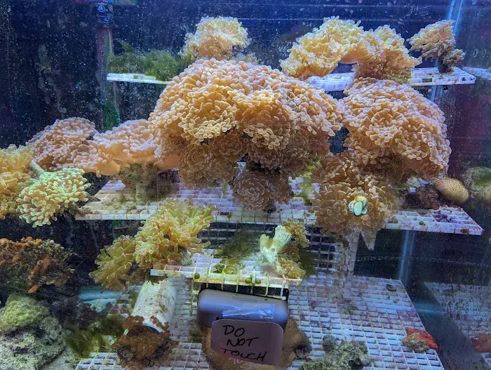 Zoo Pet Center Picture 9