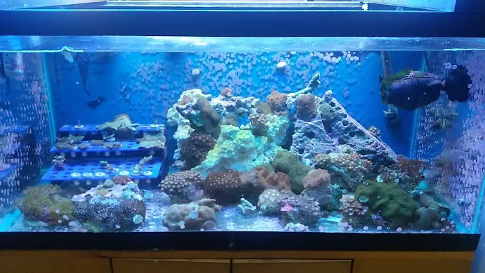 Zoo Pet Center Picture 8