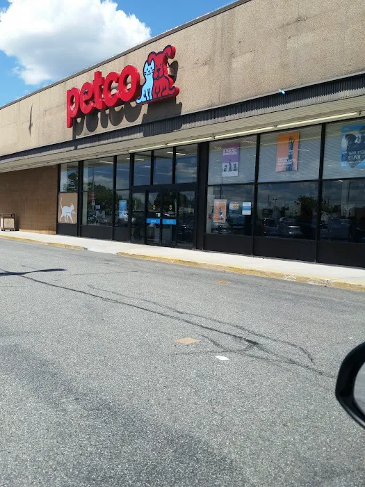 Petco Picture 3
