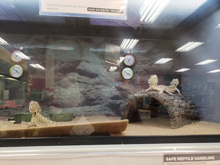 Petco Picture 2