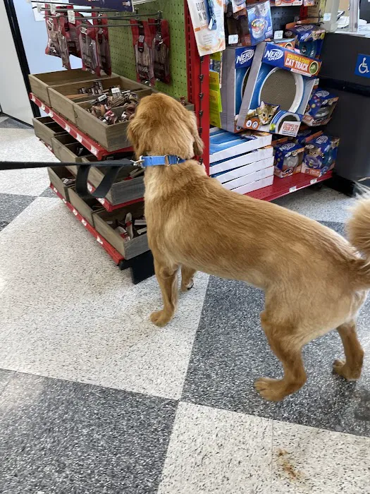 Petco Picture 8