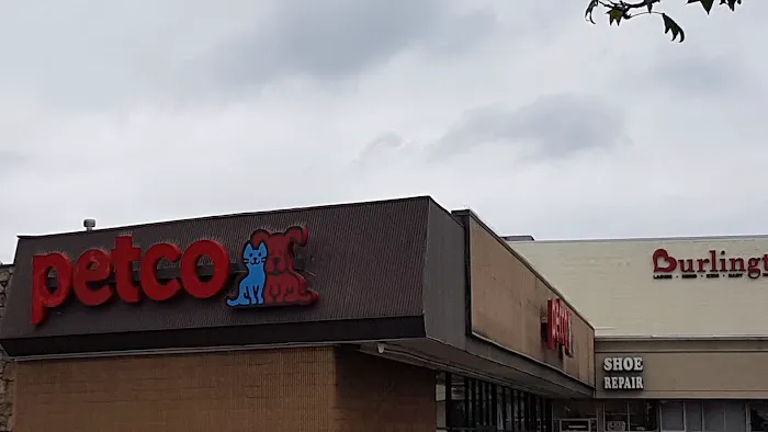 Petco Picture 7