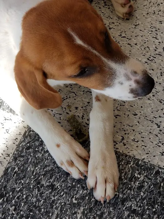 Petco Picture 6